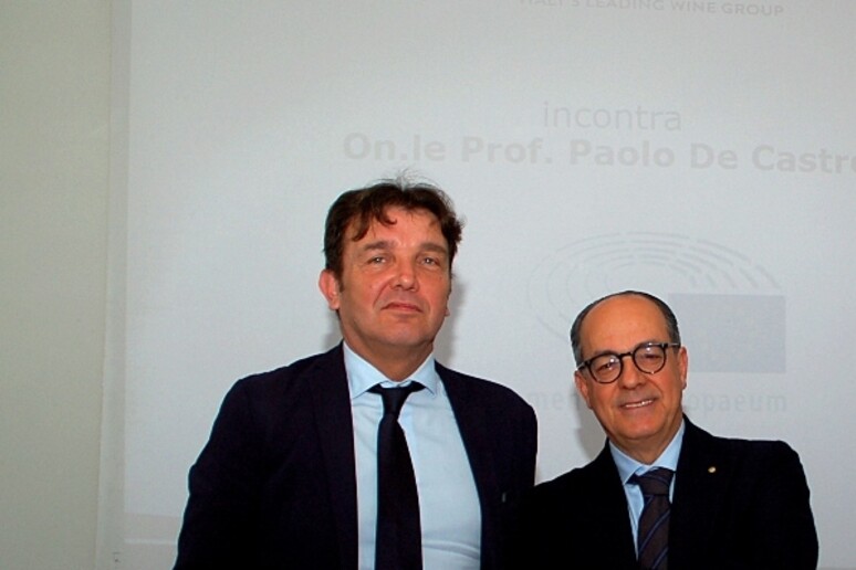 Il presidente di Caviro Carlo Dalmonte con l 'europarlamentare Paolo De Castro - RIPRODUZIONE RISERVATA