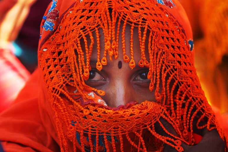 Colorful World: Fifty Shades of Orange © ANSA/EPA