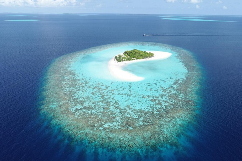 Un atollo corallino (fonte: Gerd Masselink/University of Plymouth) - RIPRODUZIONE RISERVATA