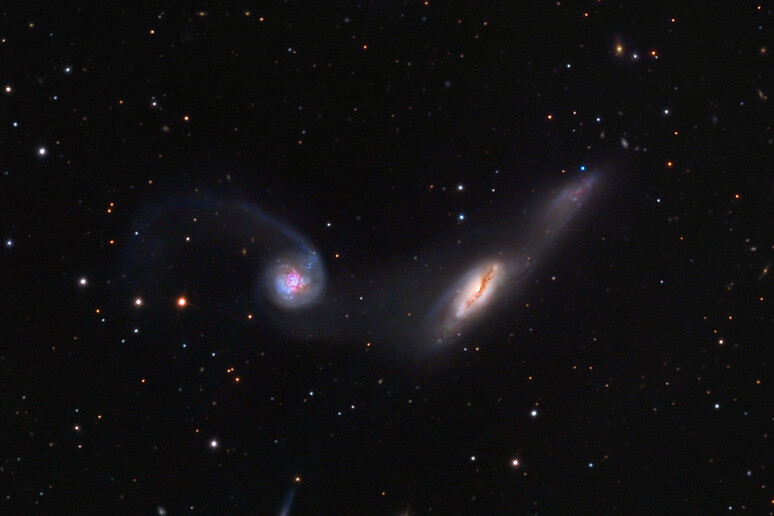 A destra la galassia NGC 2992. L 'altra è NGC 2993 (fonte: Adam Block/Mount Lemmon SkyCenter/University of Arizona) - RIPRODUZIONE RISERVATA