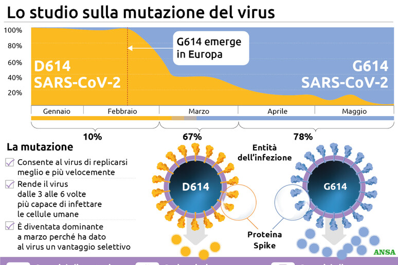 Coronavirus, una mutazione lo rende più contagioso - RIPRODUZIONE RISERVATA