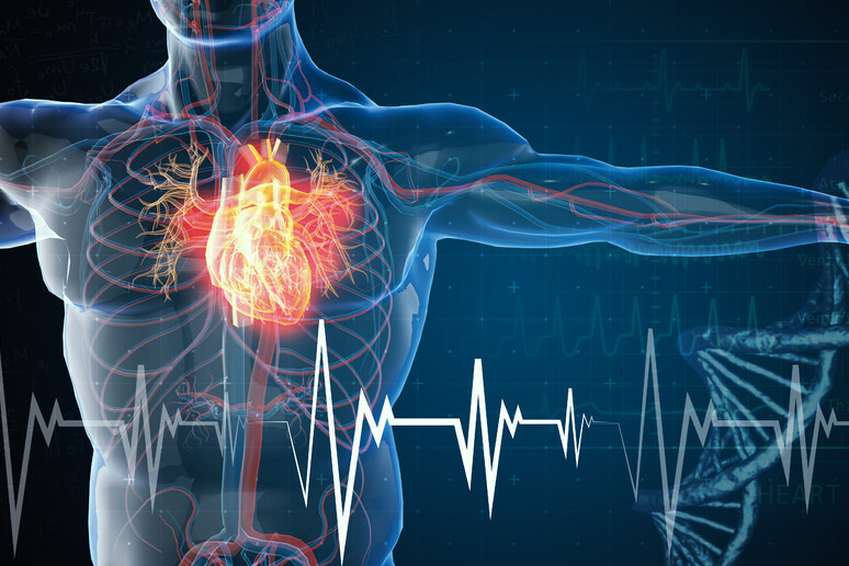 Il futuro della cardiologia, una piazza telematica stabile per il confronto - RIPRODUZIONE RISERVATA