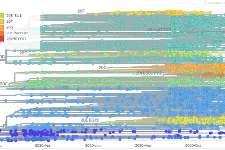 Le sequenze depositate nelle banche dati internazionali, nel grafico pubblicato sul sito del programma Nextstrain (fonte: Nextstrain) - RIPRODUZIONE RISERVATA