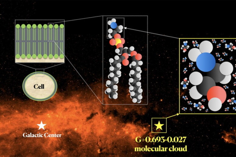 Sullo sfondo il centro della Via Lattea (fonte: NASA/JPL-Caltech), in primo piano la struttura dell 'etanolammina e il suo ruolo nelle cellule (fonte: Víctor M. Rivilla e Carlos Briones) - RIPRODUZIONE RISERVATA
