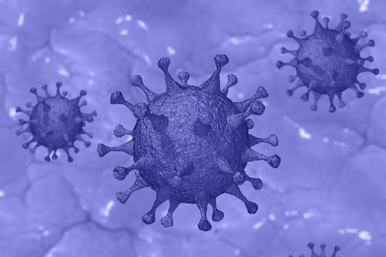 L 'incidenza delle infezioni da SarsCoV2 è in aumento in 3/4 dei Paesi europei (fonte:  Pete Linforth da Pixabay) - RIPRODUZIONE RISERVATA