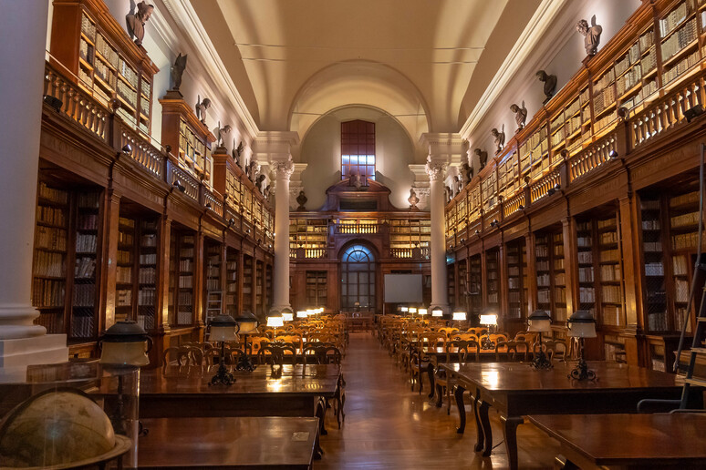 La biblioteca dell 'Università di Bologna (fonte: Doug Davey da Flickr) - RIPRODUZIONE RISERVATA