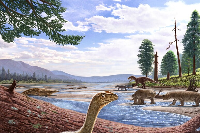 Ricostruzione artistica del più antico dinosauro africano, Mbiresaurus raathi (fonte: A. Atuchin) - RIPRODUZIONE RISERVATA