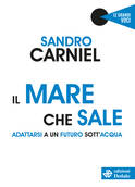 “Il mare che sale. Adattarsi a un futuro sott’acqua” di Sandro Carniel (edizioni Dedalo, 96 pagine, 12,50 euro) (ANSA)