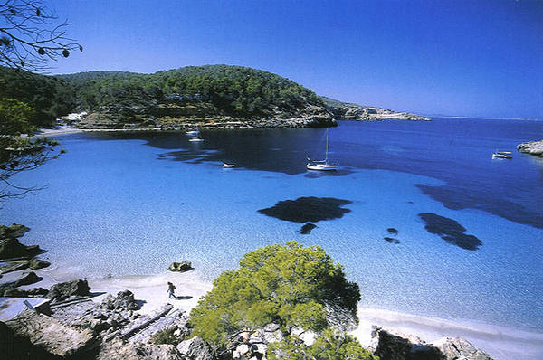 A beach of the Baleraric Islands